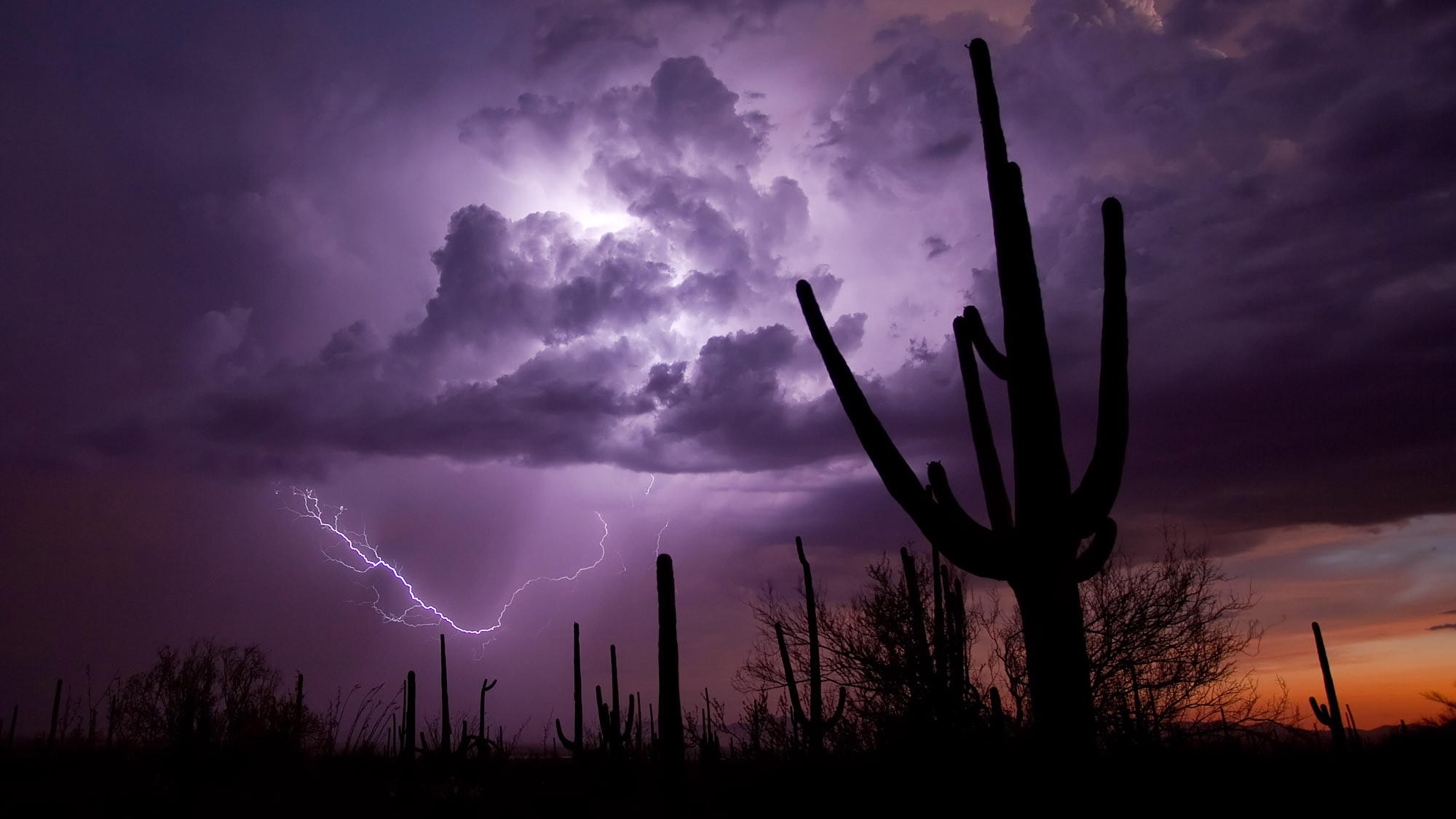 saguaro_lightning
